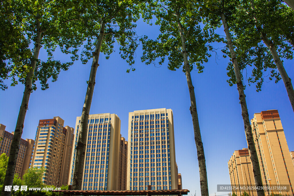 城市绿树与高楼景观