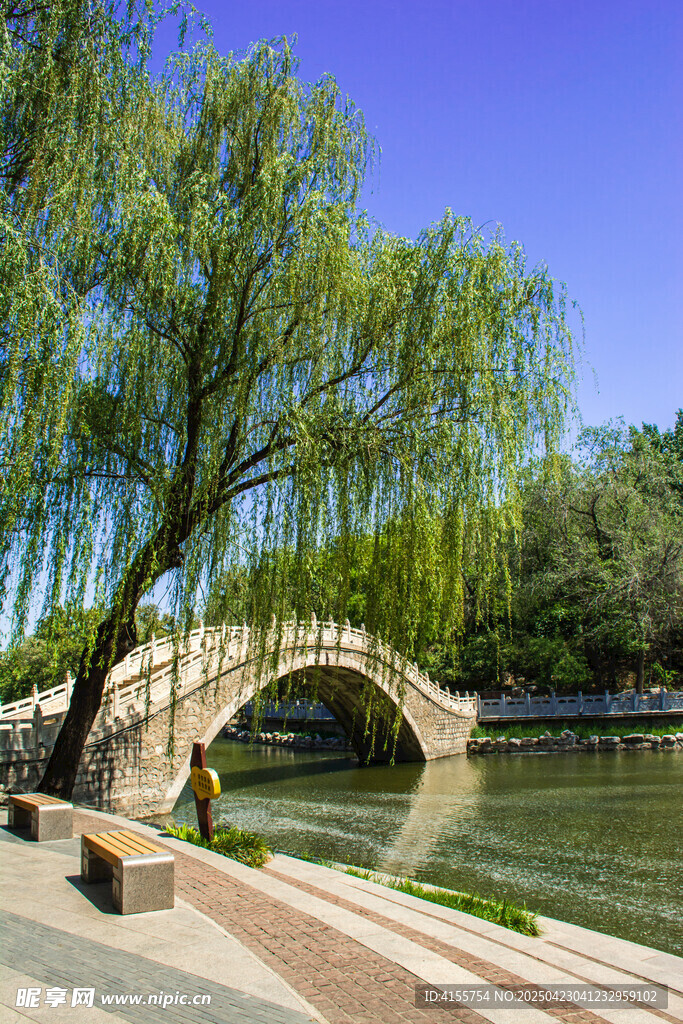 湖畔石桥垂柳风景如画