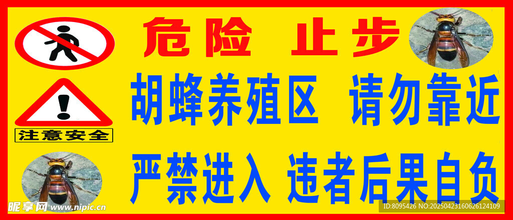 胡峰  蜂子危险