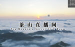 普洱茶场地 风景 云山