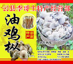 云南特产 鸡枞
