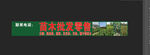 坚果苗 门头 苗木