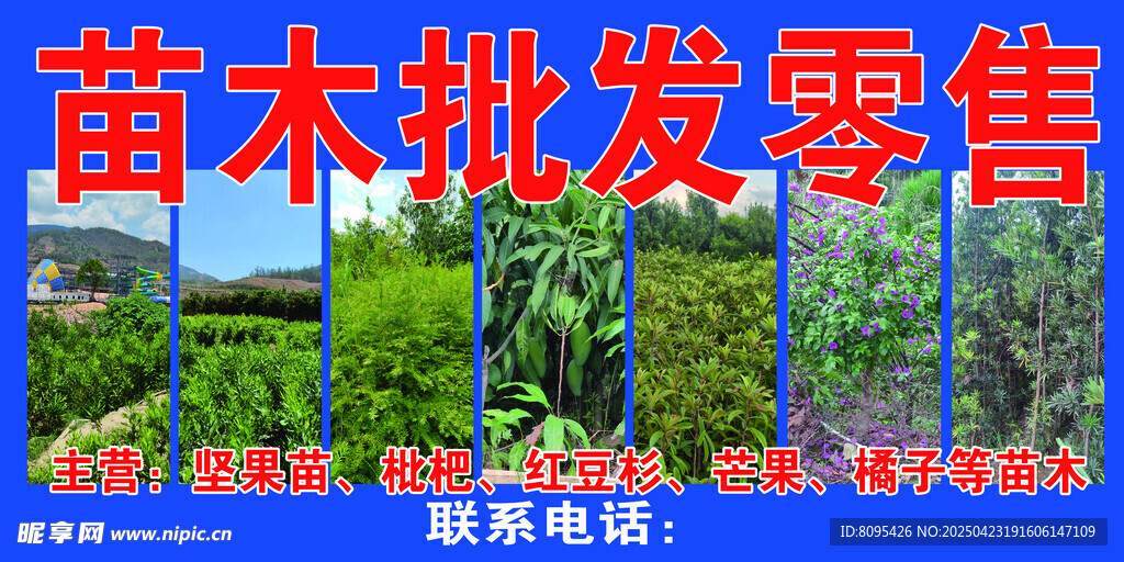 苗木批发 门头 坚果 芒果