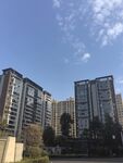 现代高层住宅建筑群景观