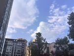城市天空下的建筑与绿树