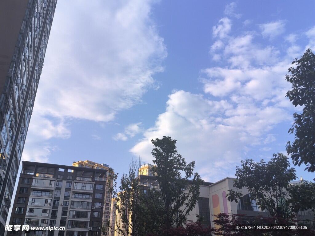城市天空下的建筑与绿树