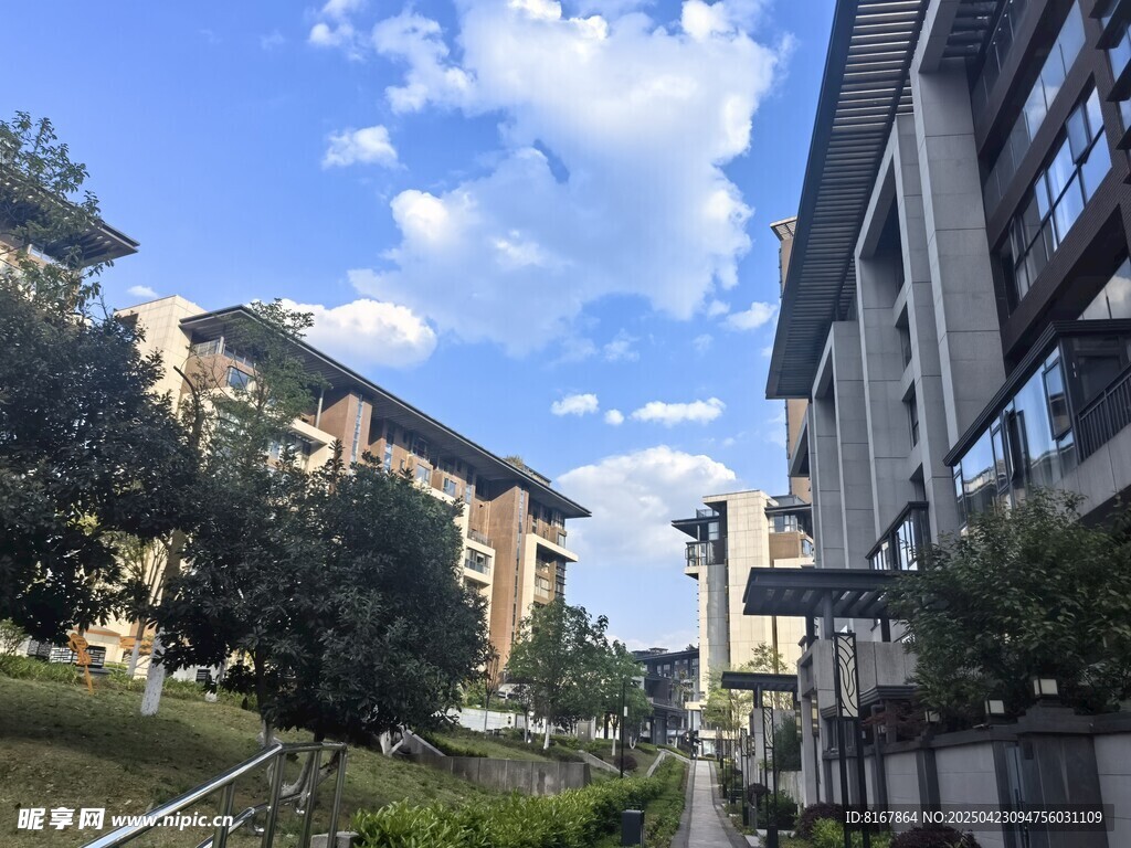 城市街道旁的建筑与蓝天