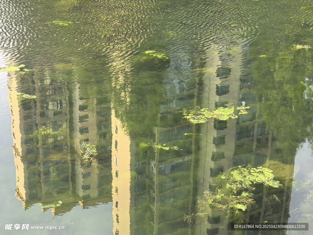 水中倒映的城市建筑景观