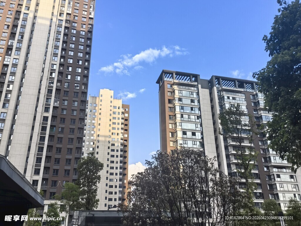 城市高楼与蓝天绿树景观