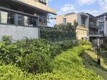 现代住宅旁的绿植景观