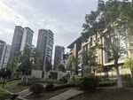 城市住宅区的绿化景观