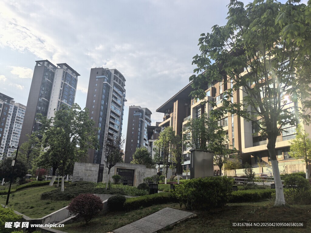 城市住宅区的绿化景观