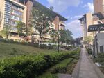 校园小径旁的绿植与建筑