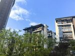 城市中绿树环绕的现代建筑