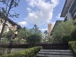 庭院绿植景观与蓝天白云