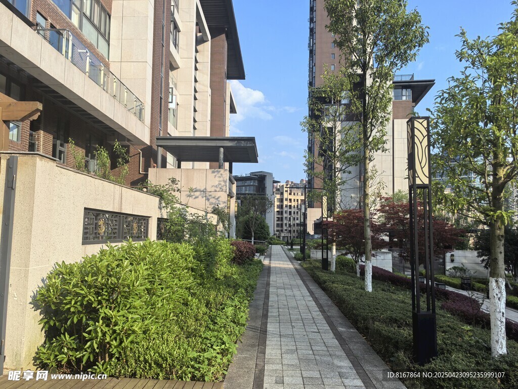 小区内的幽静景观步道