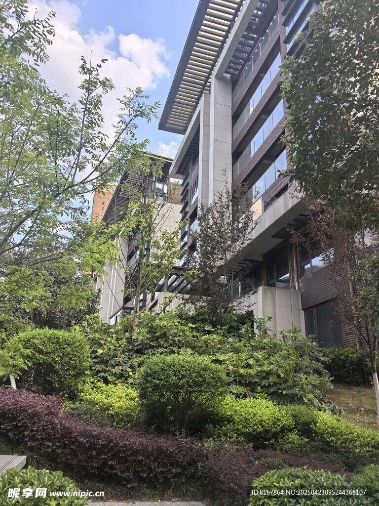 现代建筑旁的绿植景观