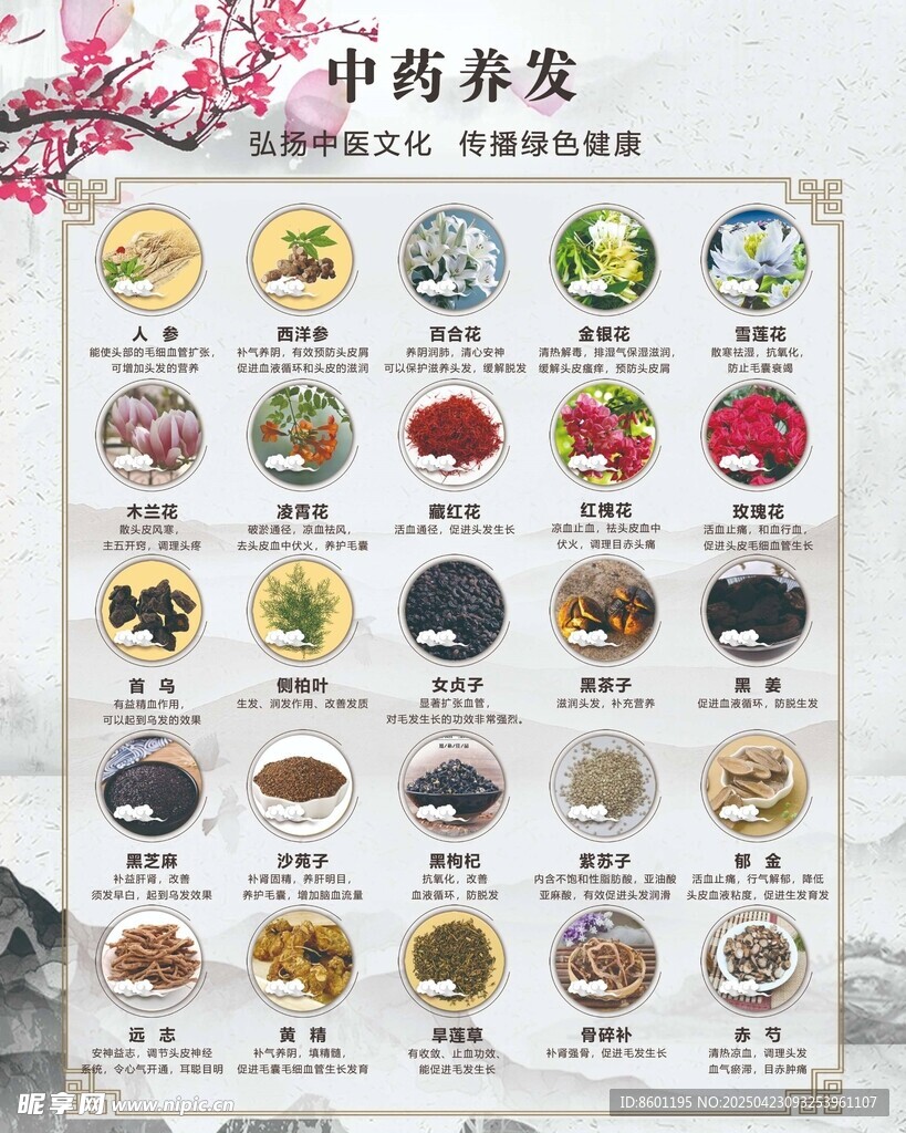 养发中药分类展示图