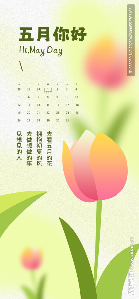 五月花卉日历插画