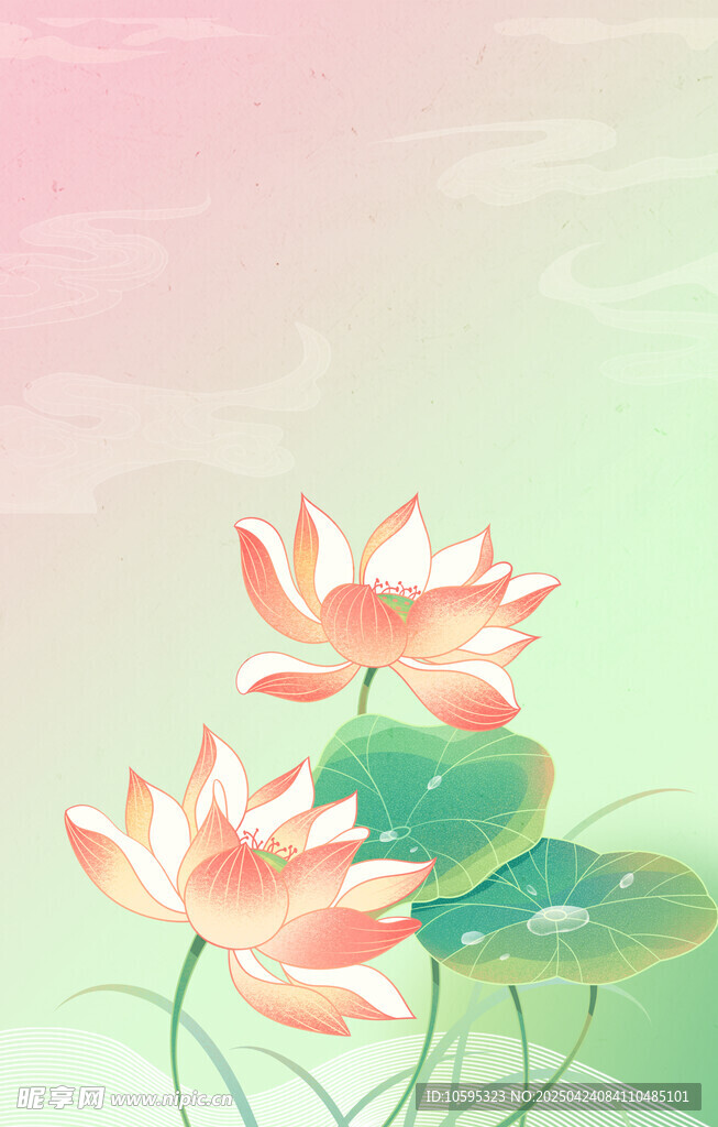 清新荷花插画背景