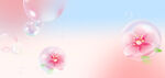气泡花朵背景