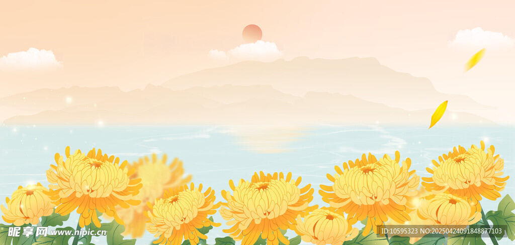 秋季菊花花海背景