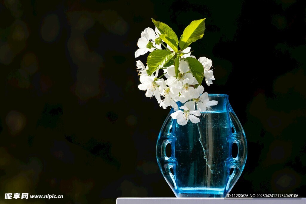 蓝色花瓶中的素雅白花