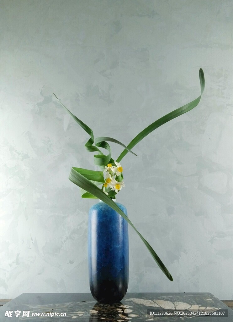 优雅兰花