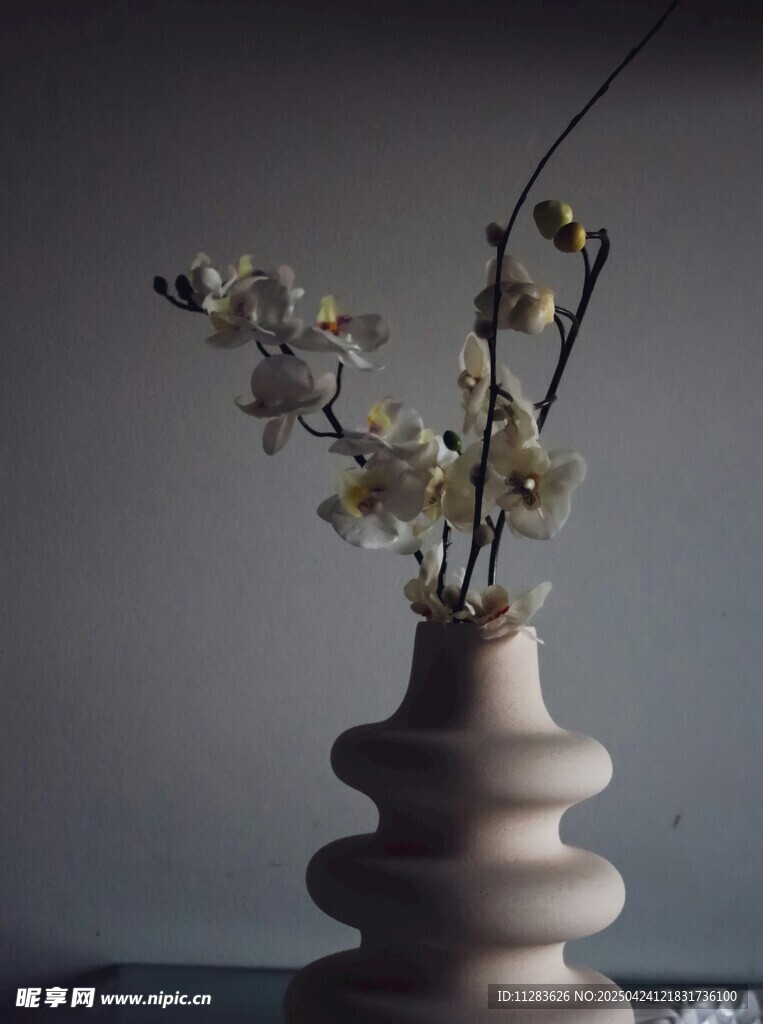 简约花瓶中的雅致兰花