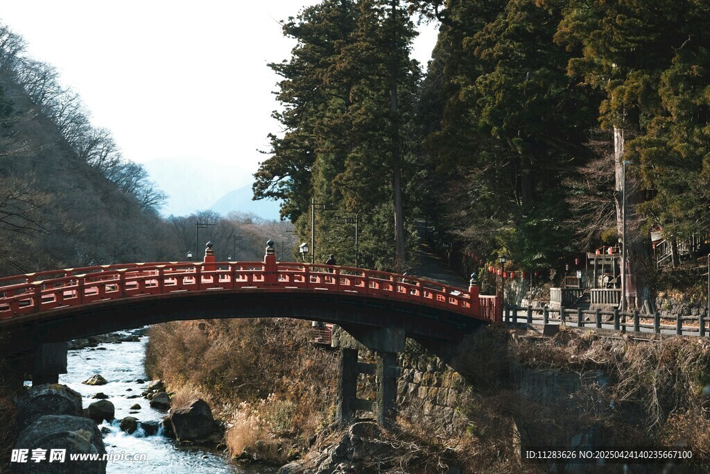 日本红桥横跨溪流美景
