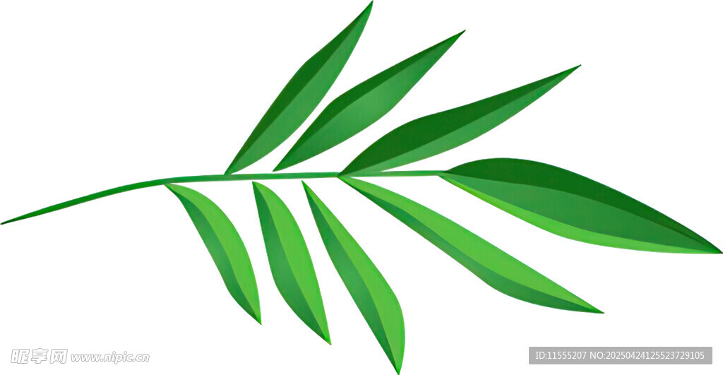 翠绿叶片 清新自然植物