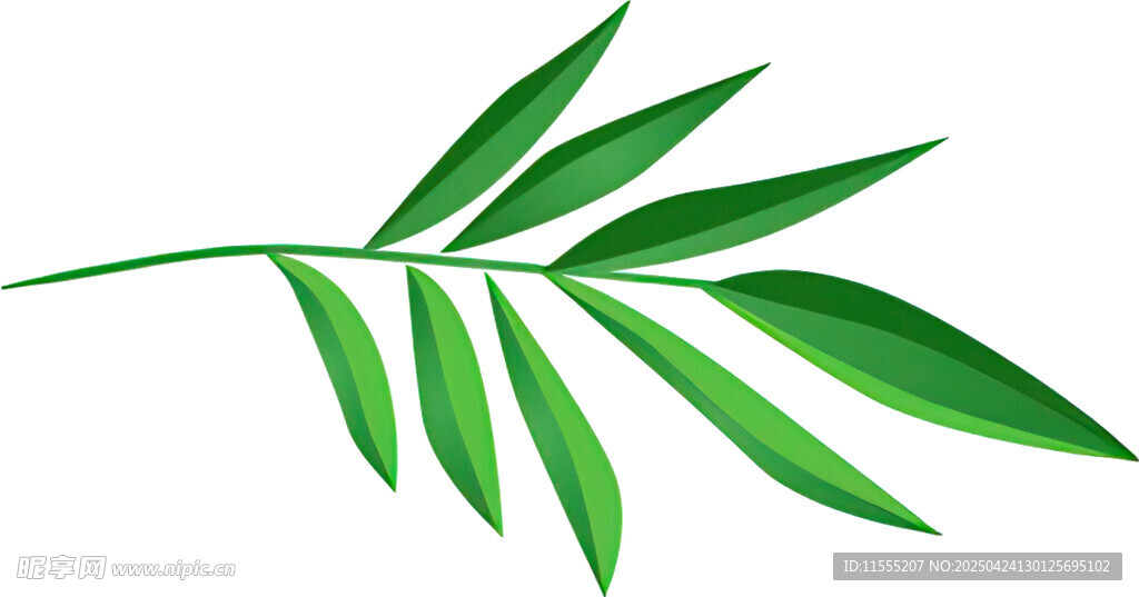 翠绿叶片 清新自然植物