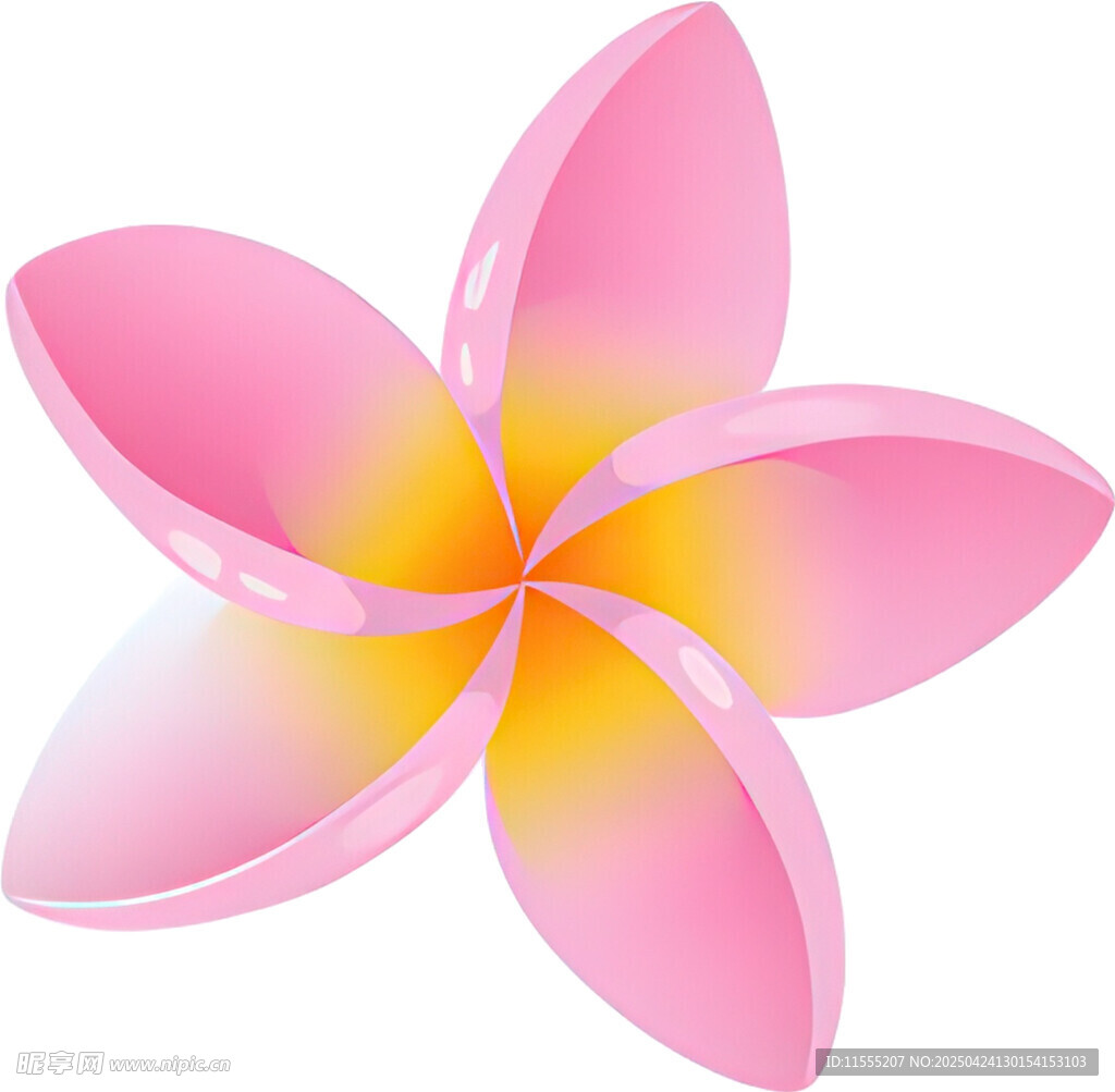 粉色鸡蛋花花朵插画