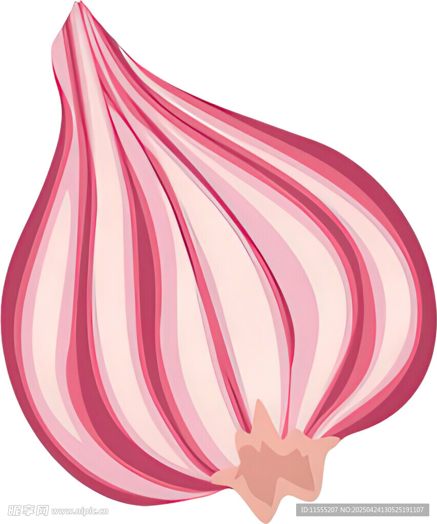 粉色条纹洋葱插画