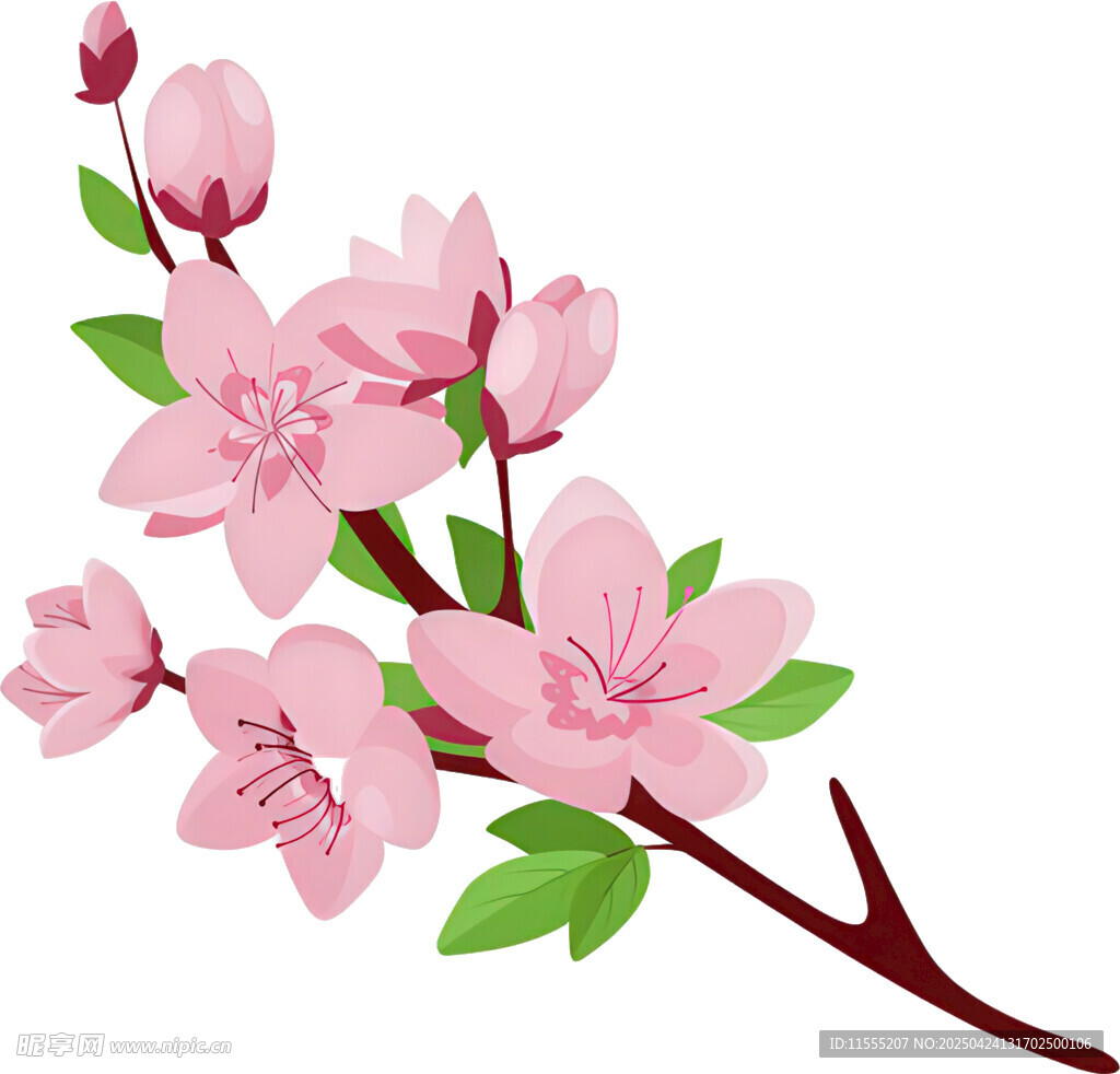 粉色桃花枝