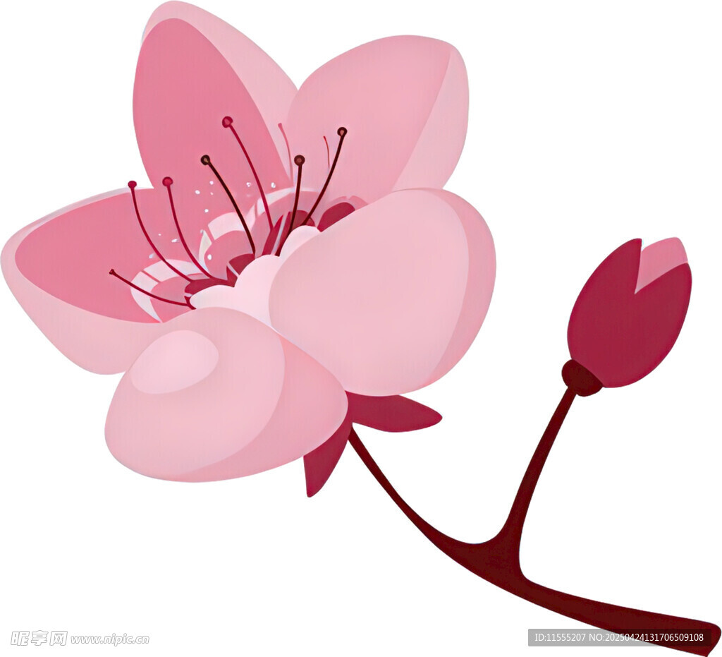 粉色樱花花朵插画