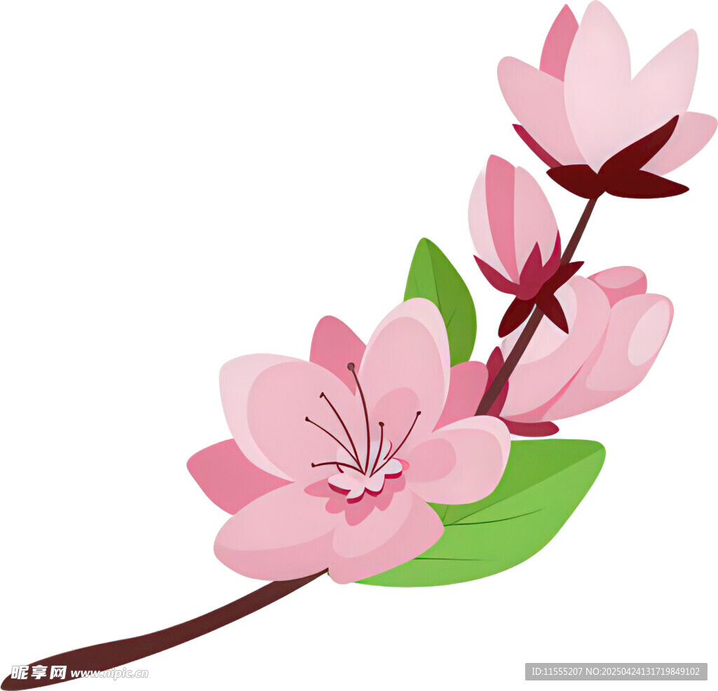 粉色桃花枝插画