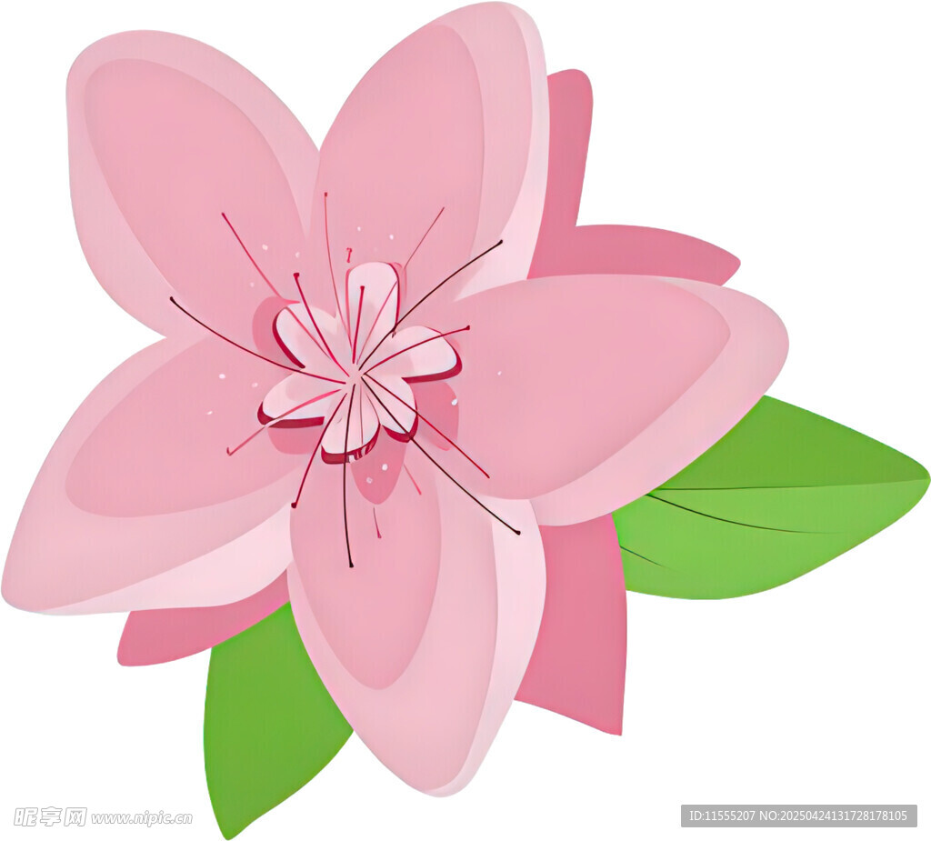 粉色花朵插画