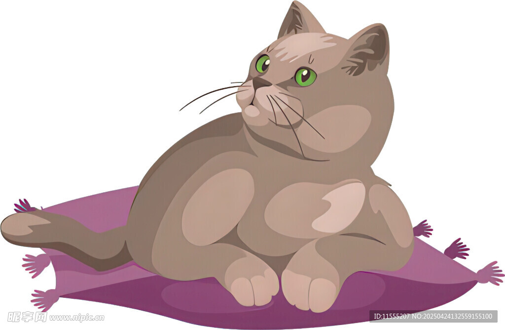 猫咪惬意躺于紫色垫子上