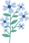 蓝色小花插画