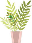 简约盆栽绿植插画