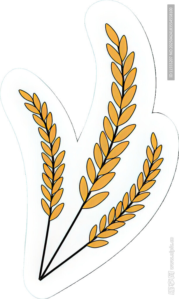 麦穗插画图案设计素材