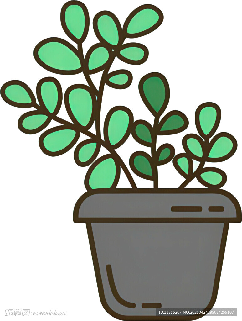 盆栽绿植插画