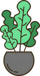 盆栽绿植插画