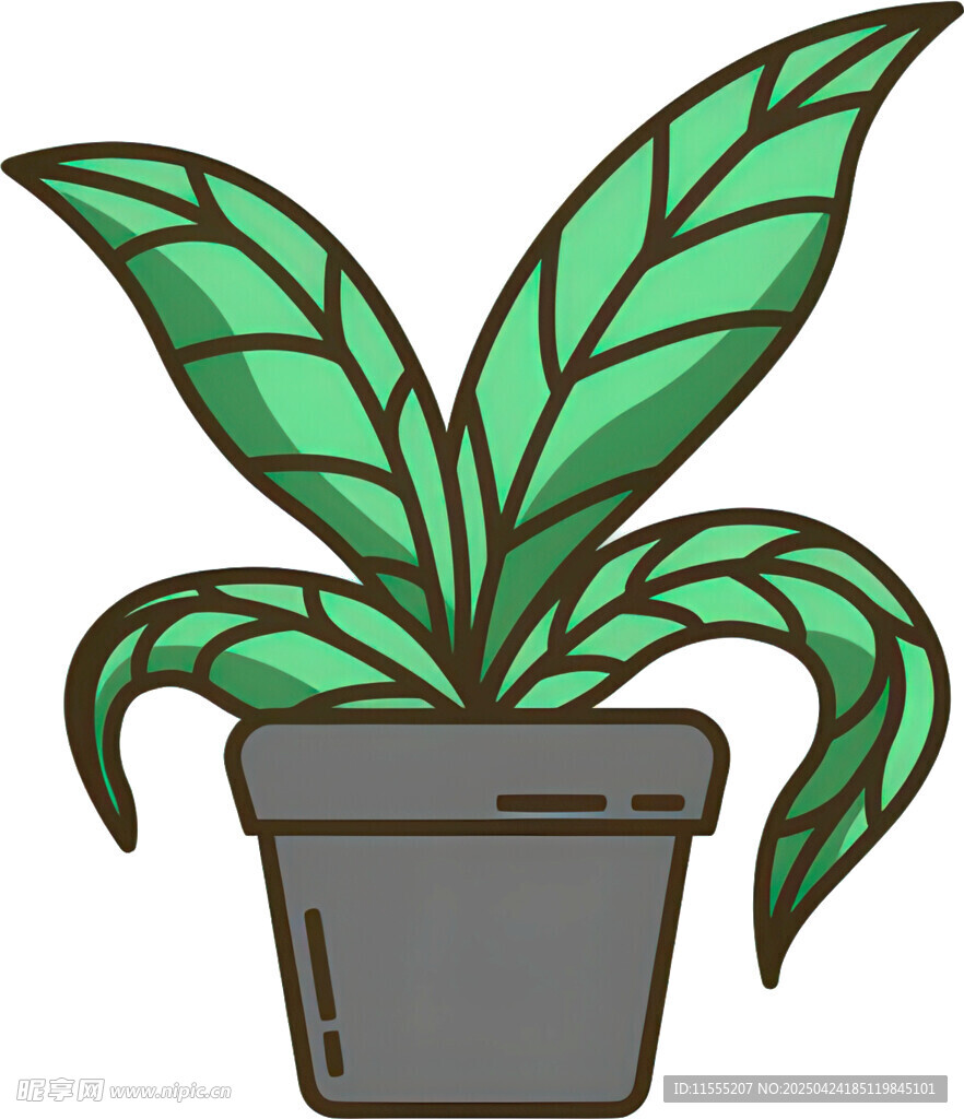 盆栽绿植插画