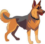 站立的德国牧羊犬插画