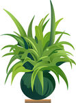 绿色盆栽植物插画展示