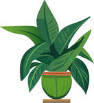 绿色盆栽植物插画
