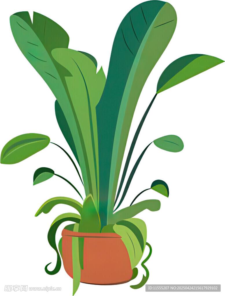 盆栽绿植 清新室内小植物