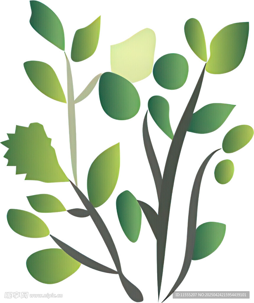 清新绿叶植物插画